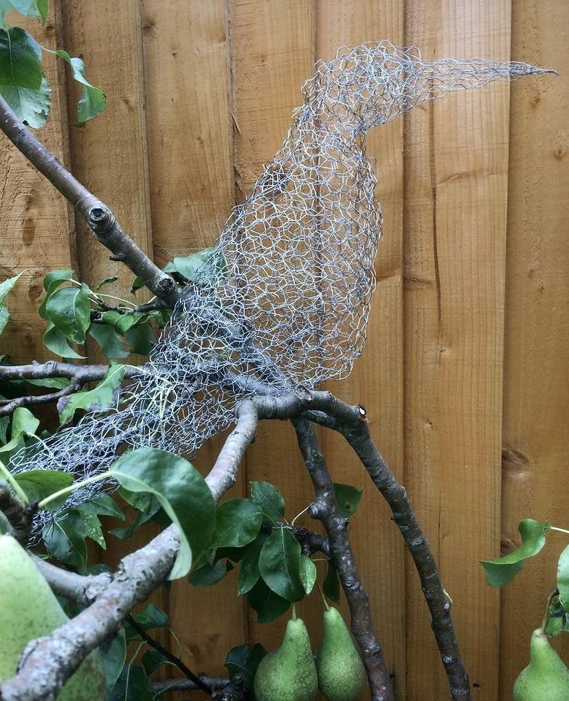 Vicky has created numerous birds in chicken wire and created them by moulding them around her hand.  Here a crow is shown.